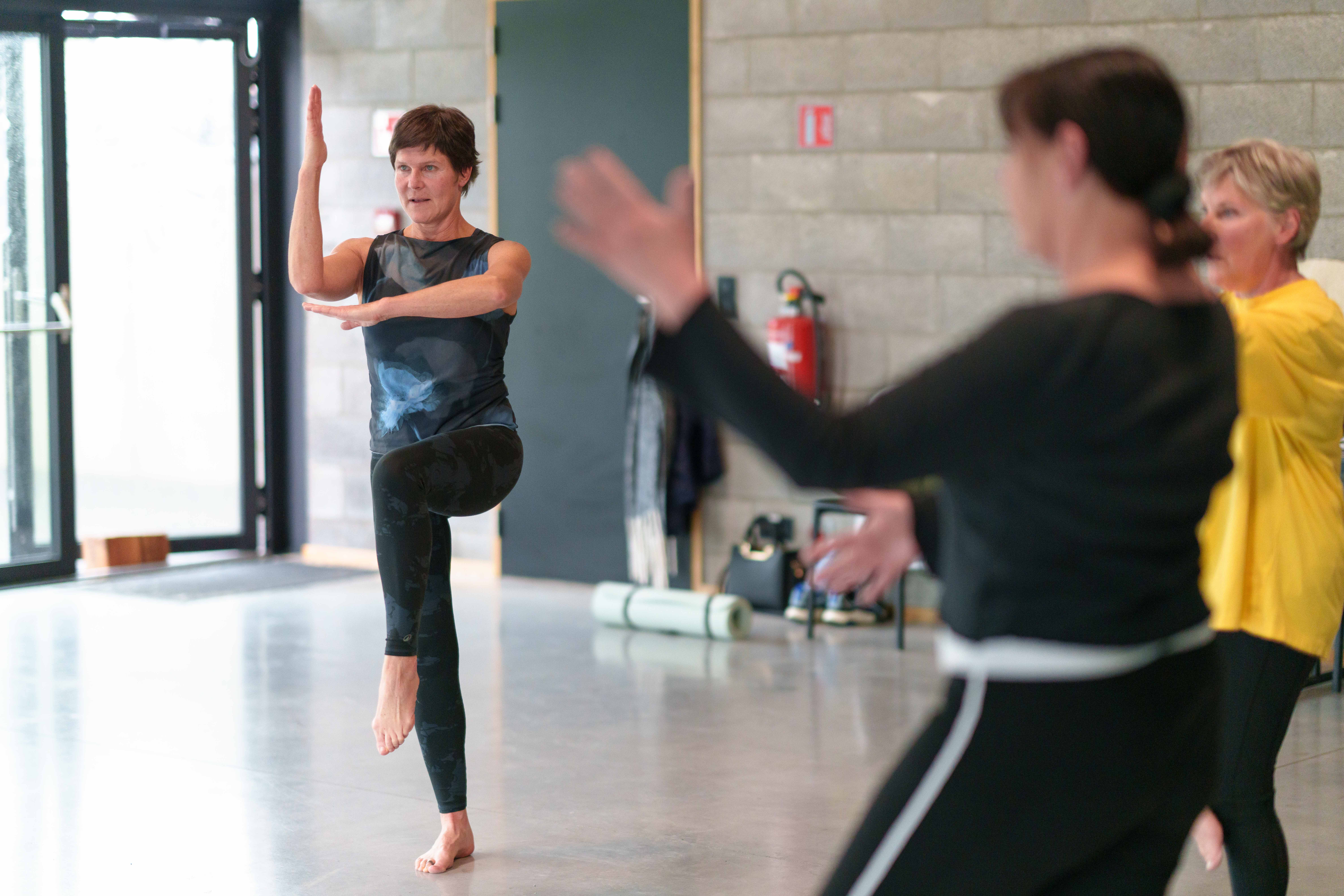 Image représentant le cours: Danse NIA
